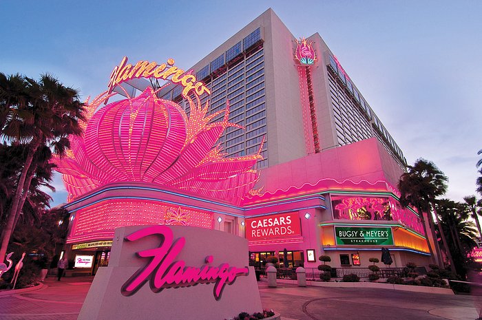 Flamingo Las Vegas Casino Tour & Hotel Review - Renovated Flamingo