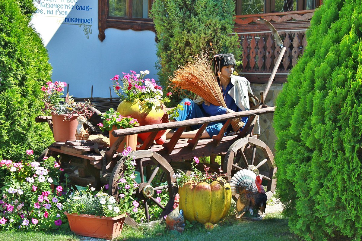 Цветы семикаракорск. Гостиница Женева Семикаракорск. Семикаракорск лес.