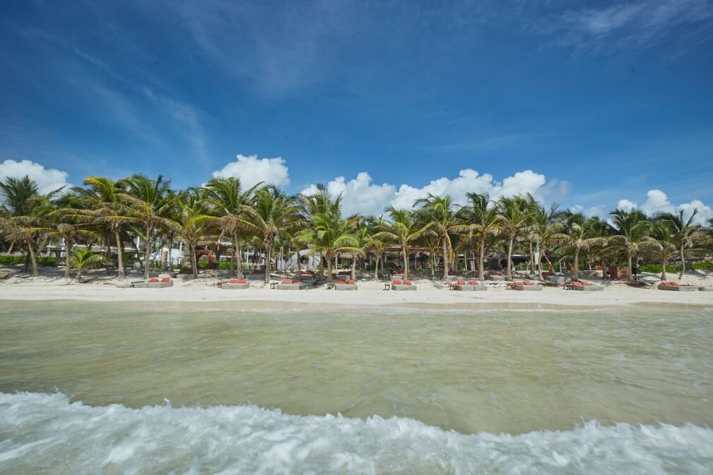 SELINA TULUM 65 1 1 4 Updated 2024 Prices Hostel Reviews