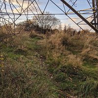 Possil Marsh