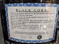 Black Coral Shop (Cozumel) - All You Need to Know BEFORE You Go