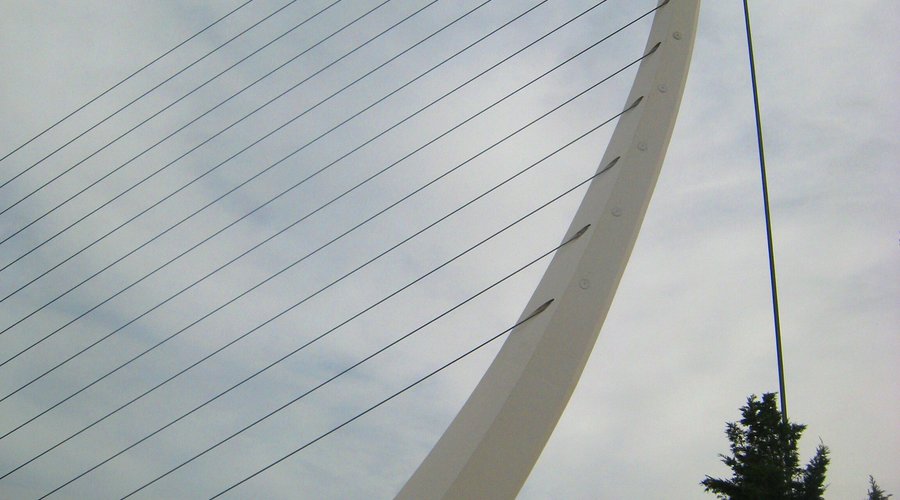 Stunning at 50 metres soaring 