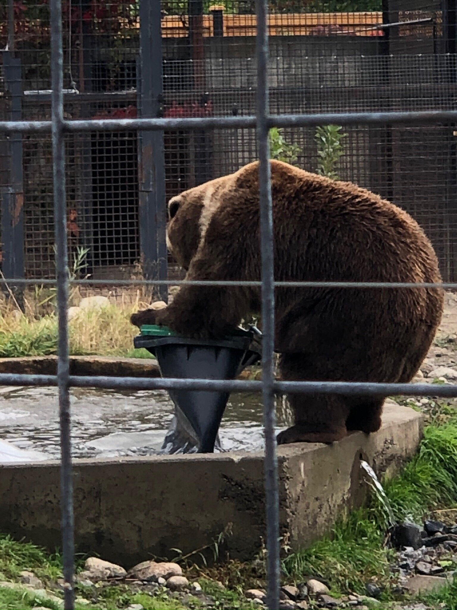 Kamloops Wildlife Park - All You Need To Know BEFORE You Go