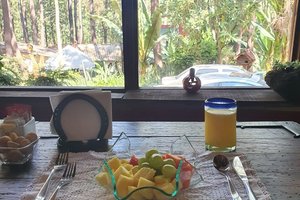 Comedor