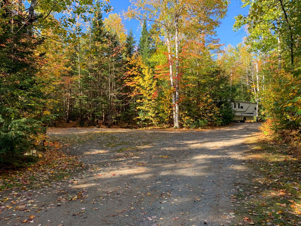 Wilderness Edge Campground Inc Updated 2024 Reviews Millinocket Maine