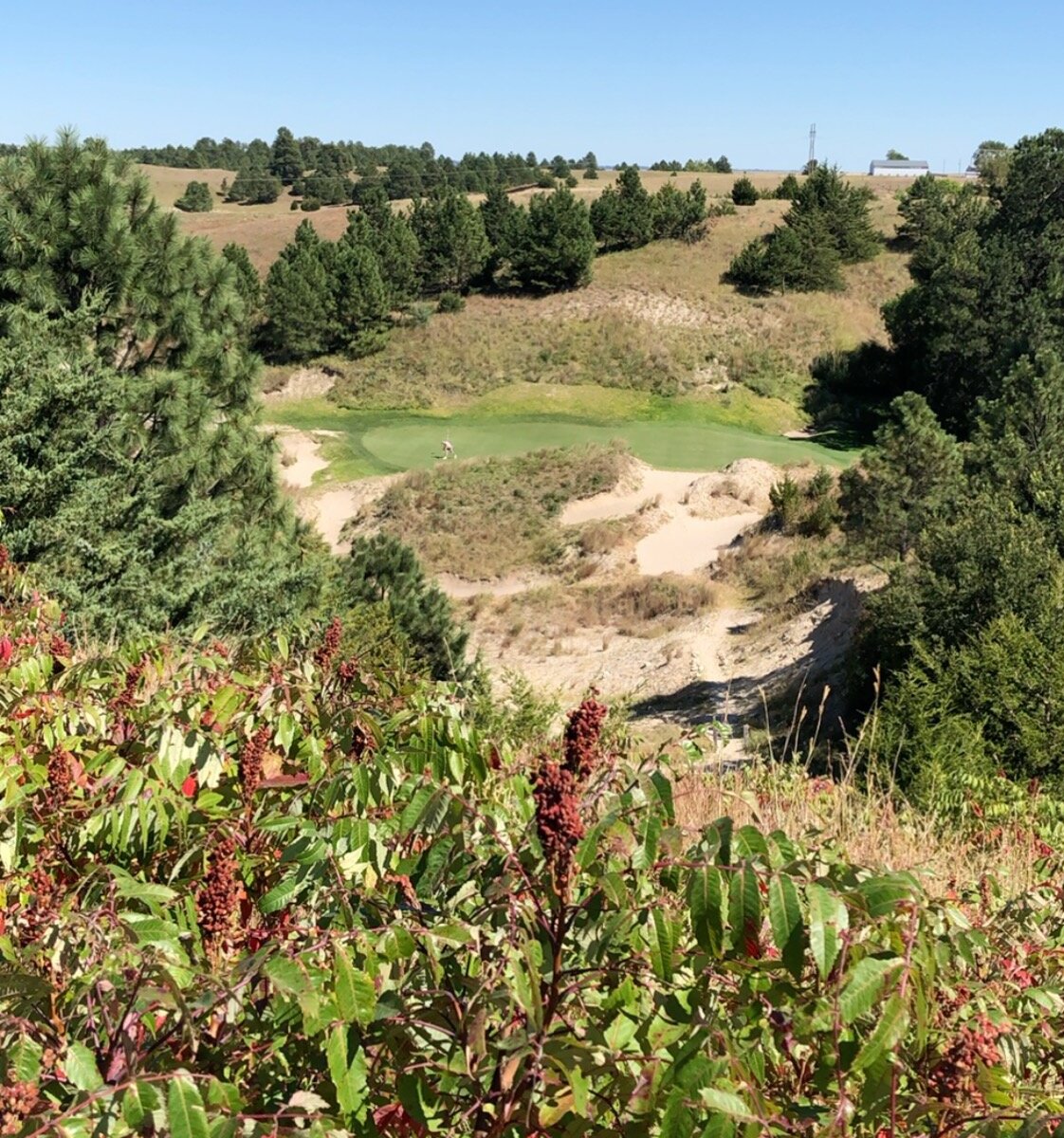 FREDERICK PEAK GOLF CLUB (Valentine) Ce qu'il faut savoir