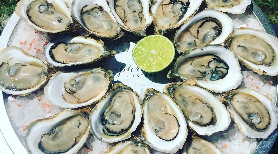 Aphrodite Oysters