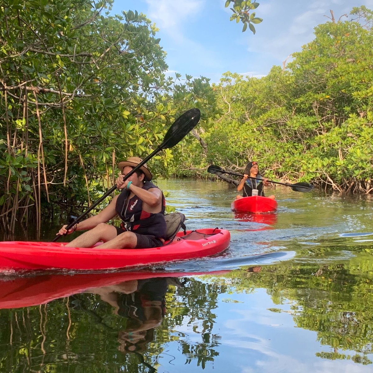 Kayak Experience Cancun - All You Need to Know BEFORE You Go