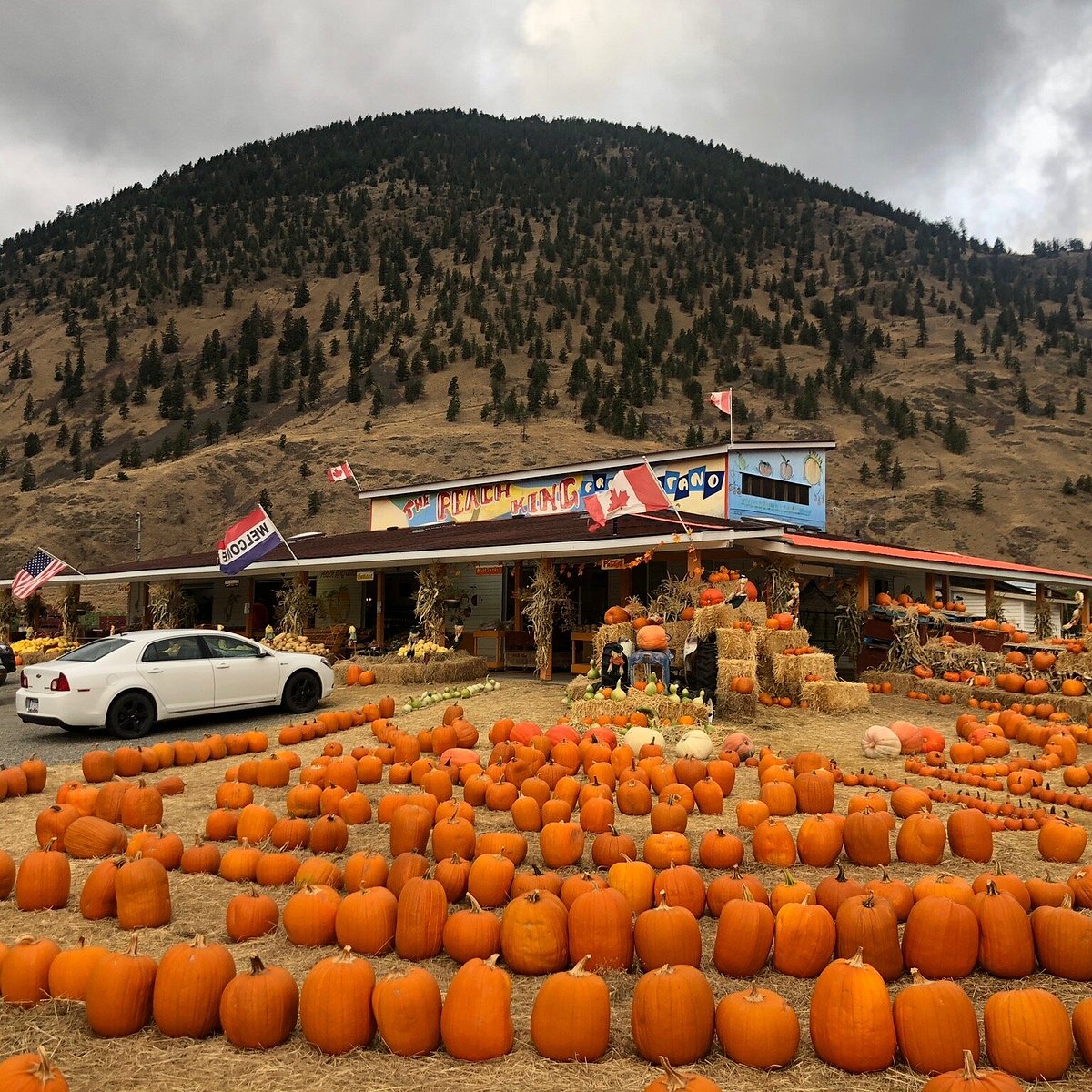 Peach King Fruit Stand (Peachland) All You Need to Know BEFORE You Go