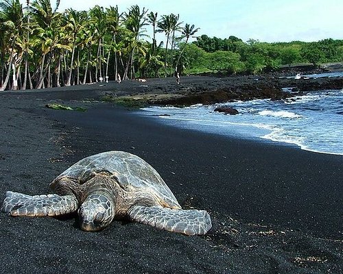 big island tour operators