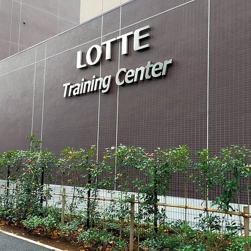 The 9 Best Arenas Stadiums In Saitama Kanto The 9 Best Arenas Stadiums In Saitama Kanto