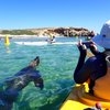 Capricorn Seakayaking