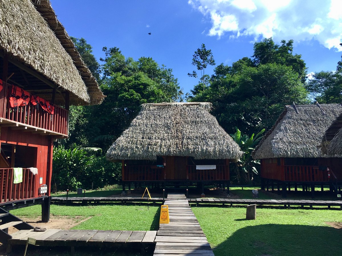 CUYABENO LODGE - Hotel Reviews (Cuyabeno Wildlife Reserve, Ecuador)