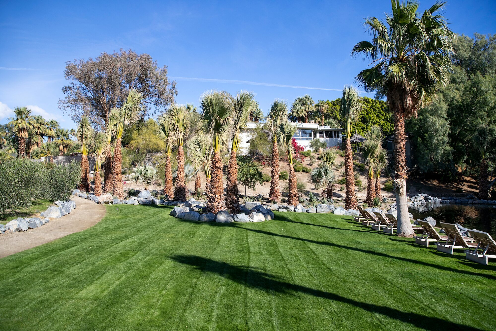 Two Bunch Palms by Google