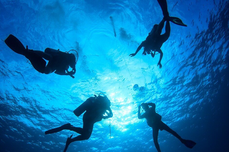 dive centres playa del carmen