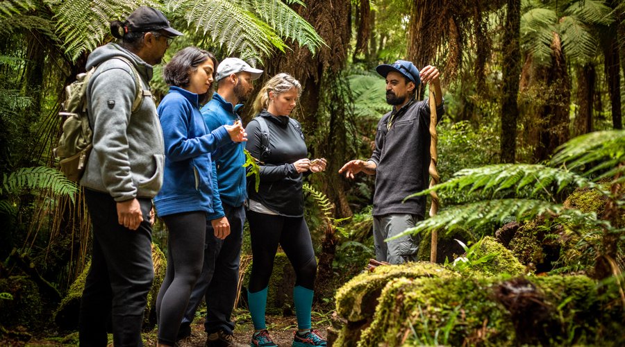 Let us take you on a fully guided cultural tour deep in to the heart of a Jurassic Native Rainforest... 
