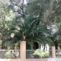 Mirador Comastri: En la manzana comprendida por las calles Loyola, Fitz Roy, Bonpland y Aguirre, en el lìmite de los porteños barrios de Chacarita y Villa Crespo, donde hoy funciona la Escuela Tècnica Ingeniero Enrique Hermitte, Ciudad de Buenos Aires- Argentina 2020.