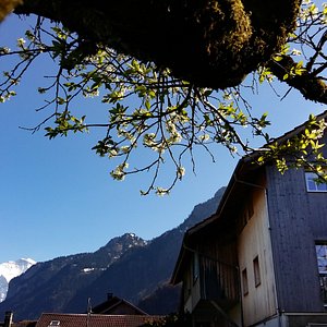Your HOME AWAY FROM HOME in the center of Wilderswil with the Glacier capped Jungfrau alps 