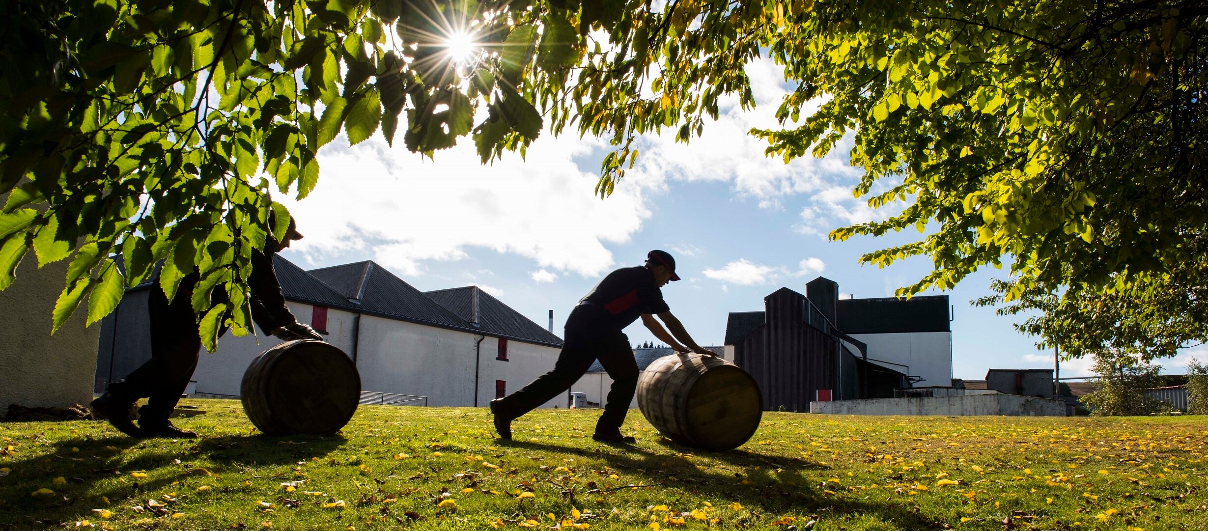 Scotland All You Need To Know Before You Go 2024 Tripadvisor   A Sunny Day At Tomatin 