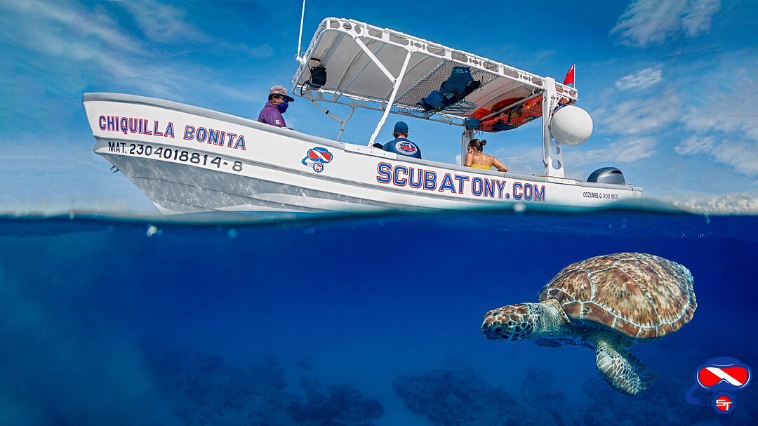 ScubaTony Cozumel - All You Need to Know BEFORE You Go