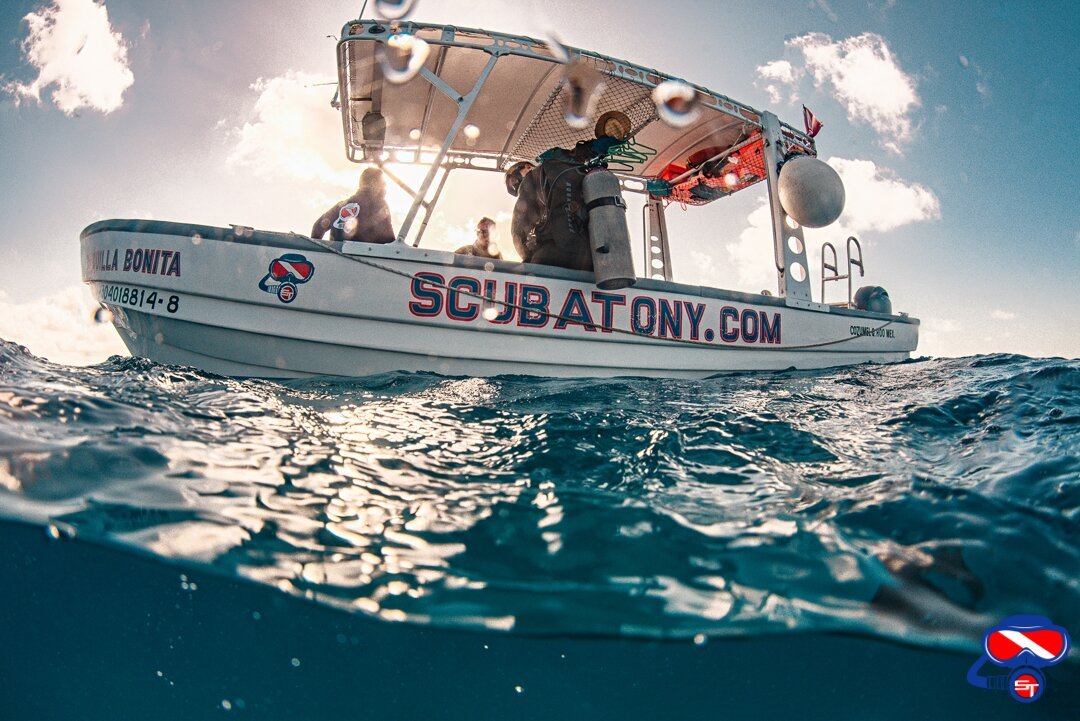 scubatony cozumel