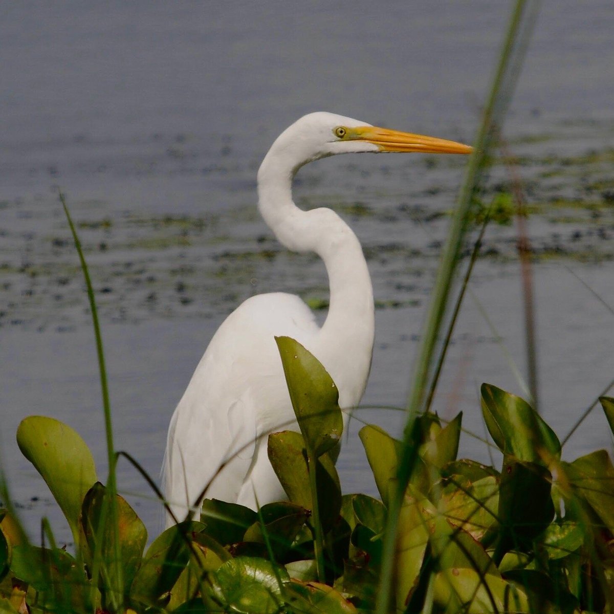 Blue Heron Water reclamation district (Titusville): All You Need to Know