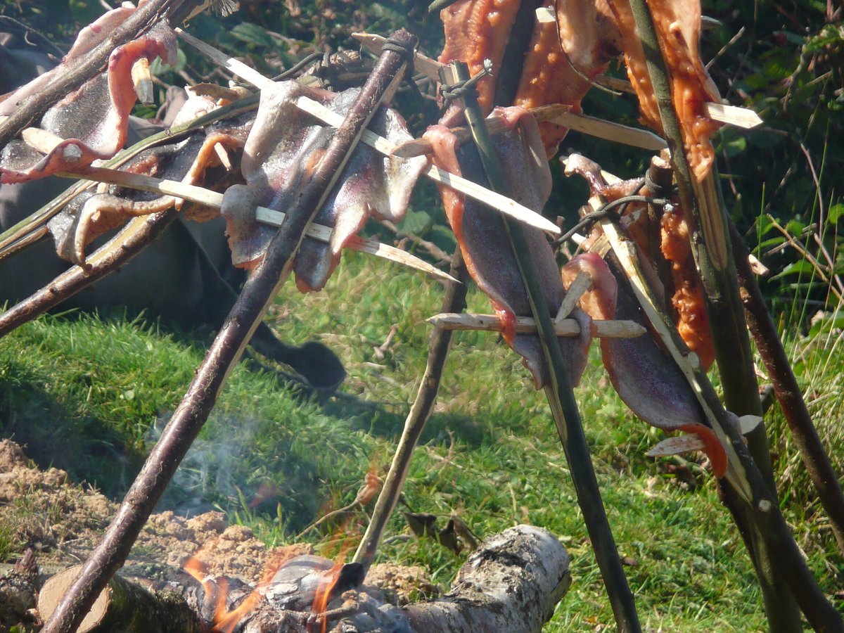 WILD BUSHCRAFT COMPANY (Wales) - All You Need to Know BEFORE You Go