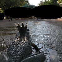 Žaba na prameni
