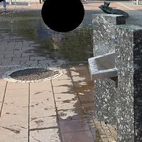 Žaba na prameni