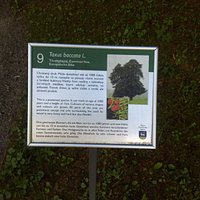 Kúpeľný park Trenčianske Teplice
