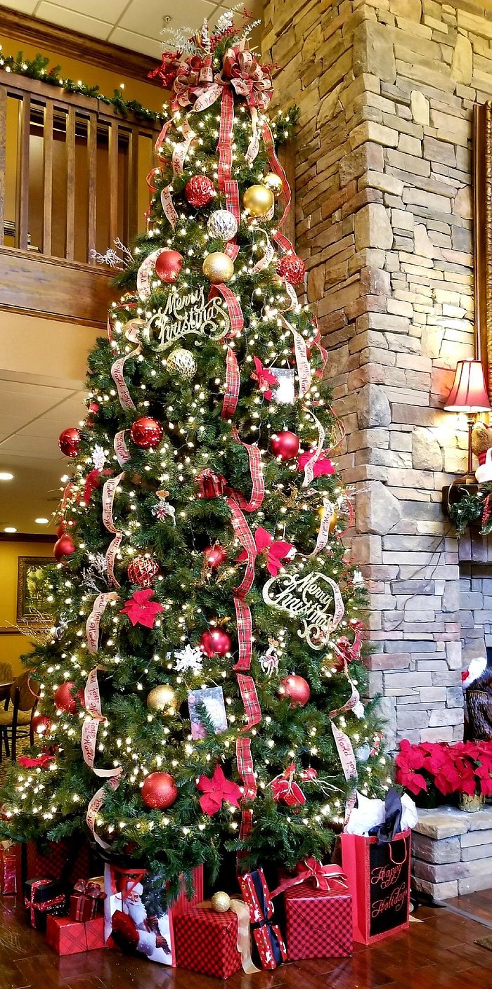 https://dynamic-media-cdn.tripadvisor.com/media/photo-o/1c/49/1b/44/christmas-in-the-lobby.jpg?w=700&h=-1&s=1