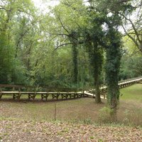 Rusk, TX Footbridge - All You Need to Know BEFORE You Go (2024)