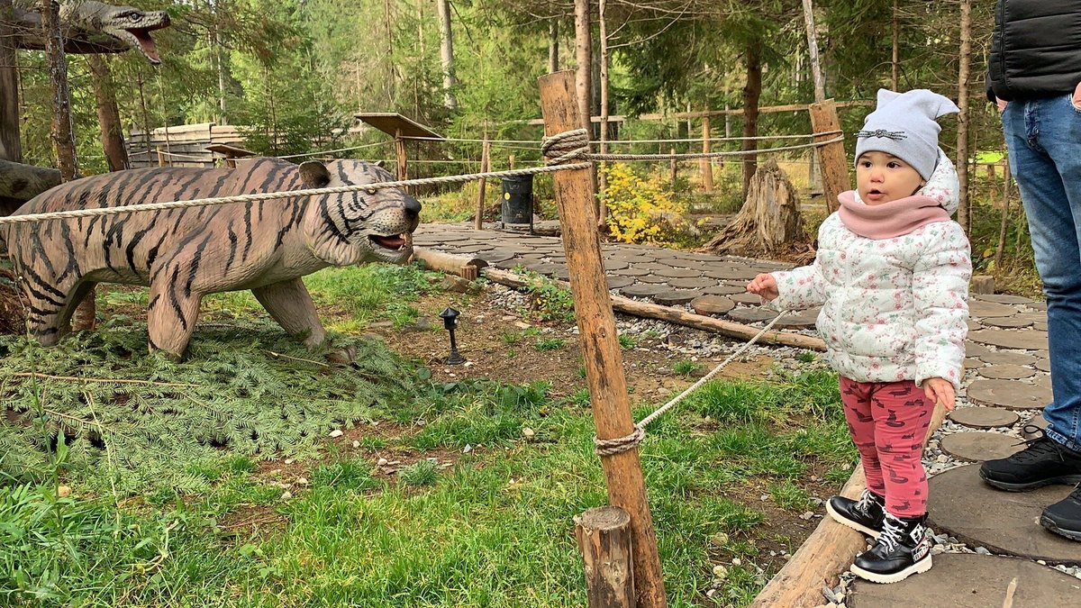 Dinosaur Park, Поляниця: лучшие советы перед посещением - Tripadvisor