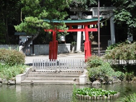 Senzokuike Park (大田区) - 旅游景点点评- Tripadvisor