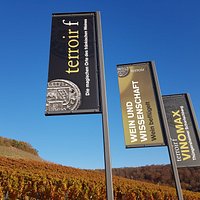 Terroir f im Herbst
