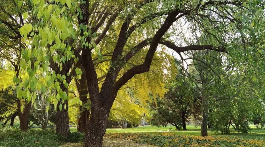 Zizhuyuan Gongyuan (Black Bamboo Park)