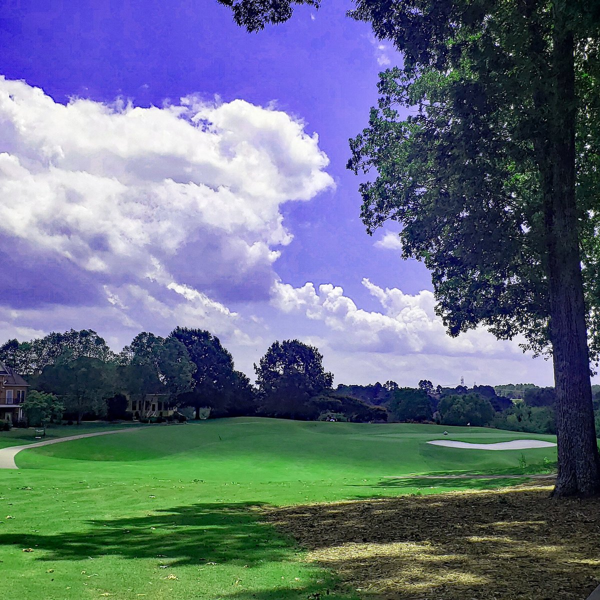 Tanasi Golf Course (Loudon) All You Need to Know BEFORE You Go