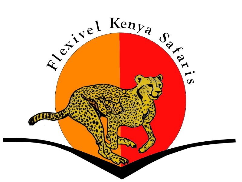 Flexivel Kenya Safaris