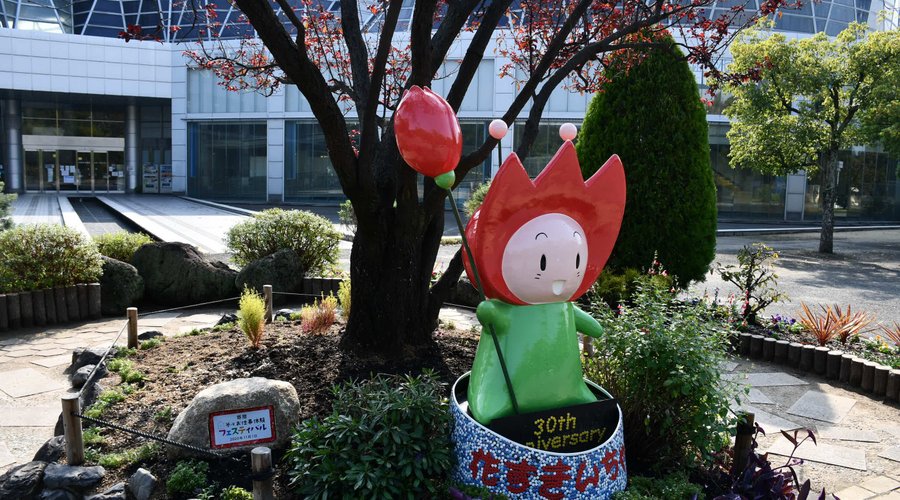 三十年になる花ずきんちゃん