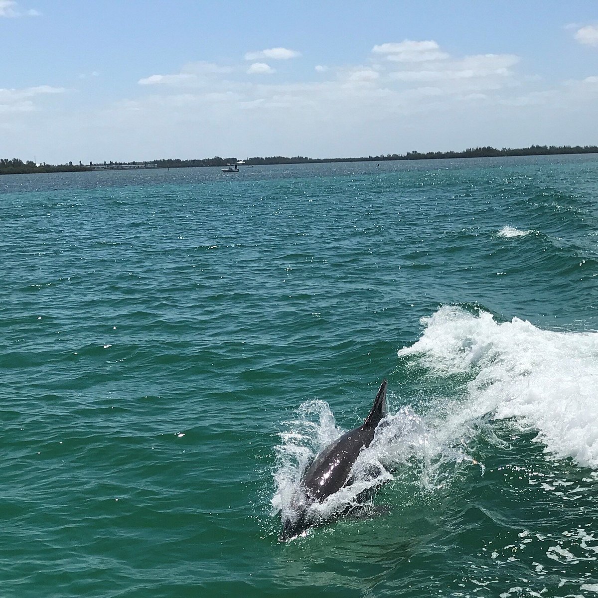 Island Fun Boats (Anna Maria Island) All You Need to Know BEFORE You Go