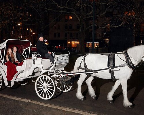 THE 5 BEST New York City Horse-Drawn Carriage Tours (with Photos) -  Tripadvisor