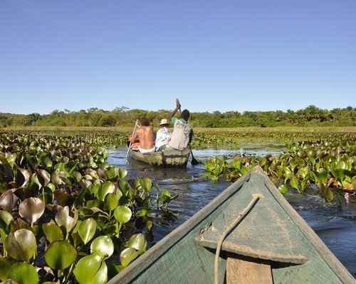 Help in the farm and nursery activities in Chapada Diamantina, Bahia