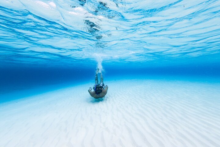 Tripadvisor | Excursión de esnórquel en Cozumel: arrecifes de coral, El  Cielo y Playa Mia. proporcionado por Playa Mia Grand Beach Park | México