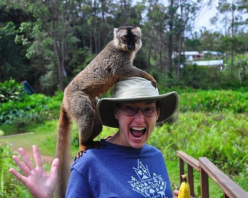tour guide madagascar 2