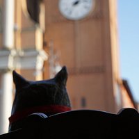 Statua di Re Gino