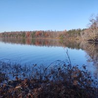 Beaver Lake Nature Center (Baldwinsville) - All You Need to Know BEFORE ...