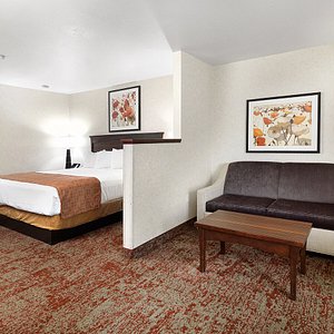 Crystal Inn Hotel &amp; Suites Salt Lake City - Downtown, hotel in Salt Lake City
