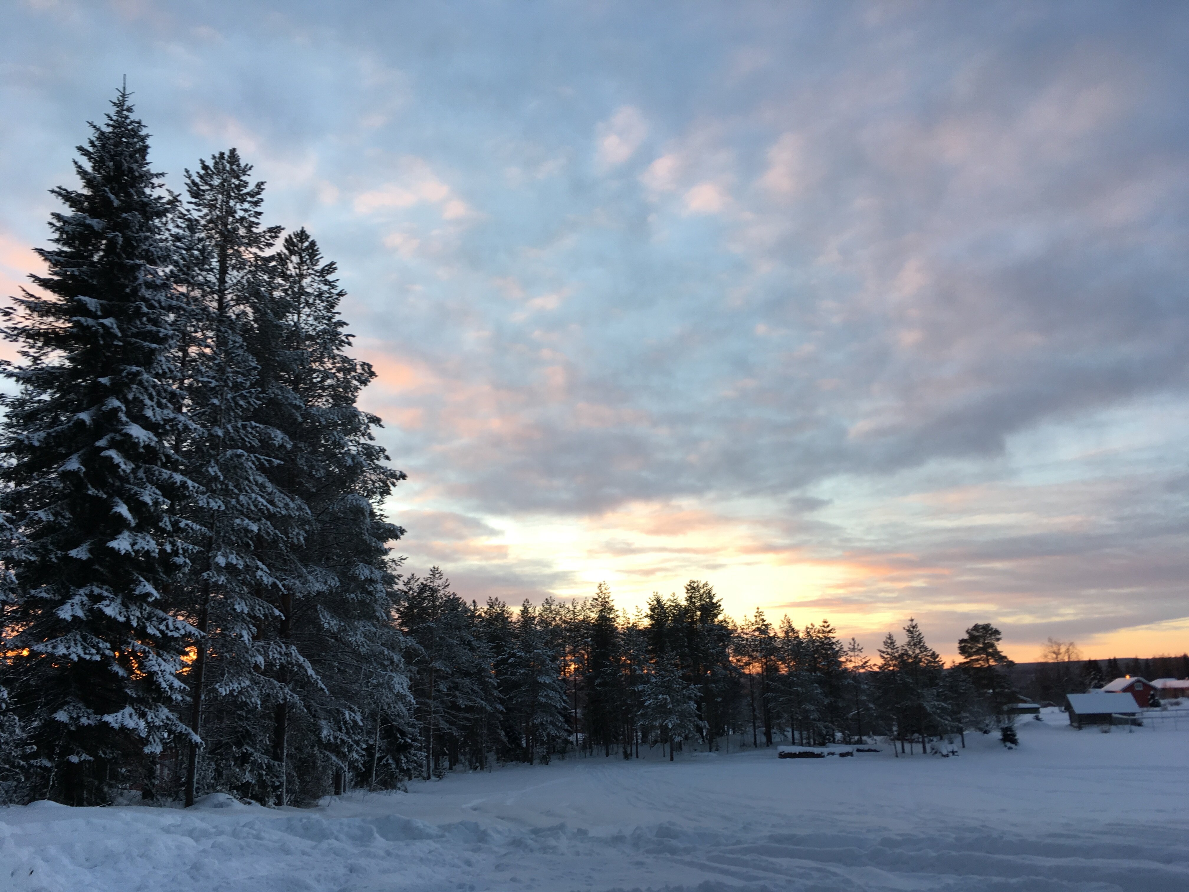 NATURE POINT PALJAKKA (Puolanka, Finlande) - Tarifs 2024