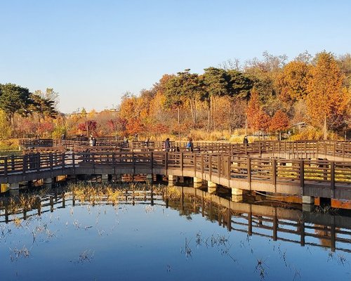 Top Parks Nature In Guro Gu Seoul Tripadvisor