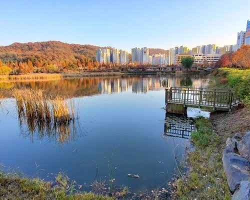 Top 10 Things To Do In Guro Gu On Tripadvisor Check Out Things To Do In Guro Gu Seoul